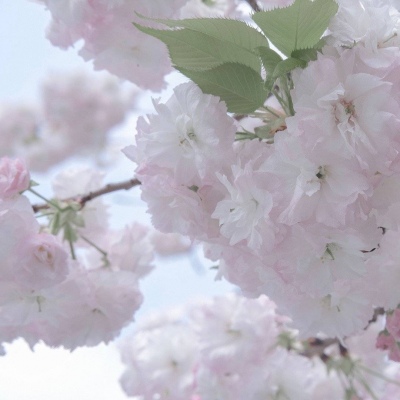 兽设天空场景设计福瑞交流群